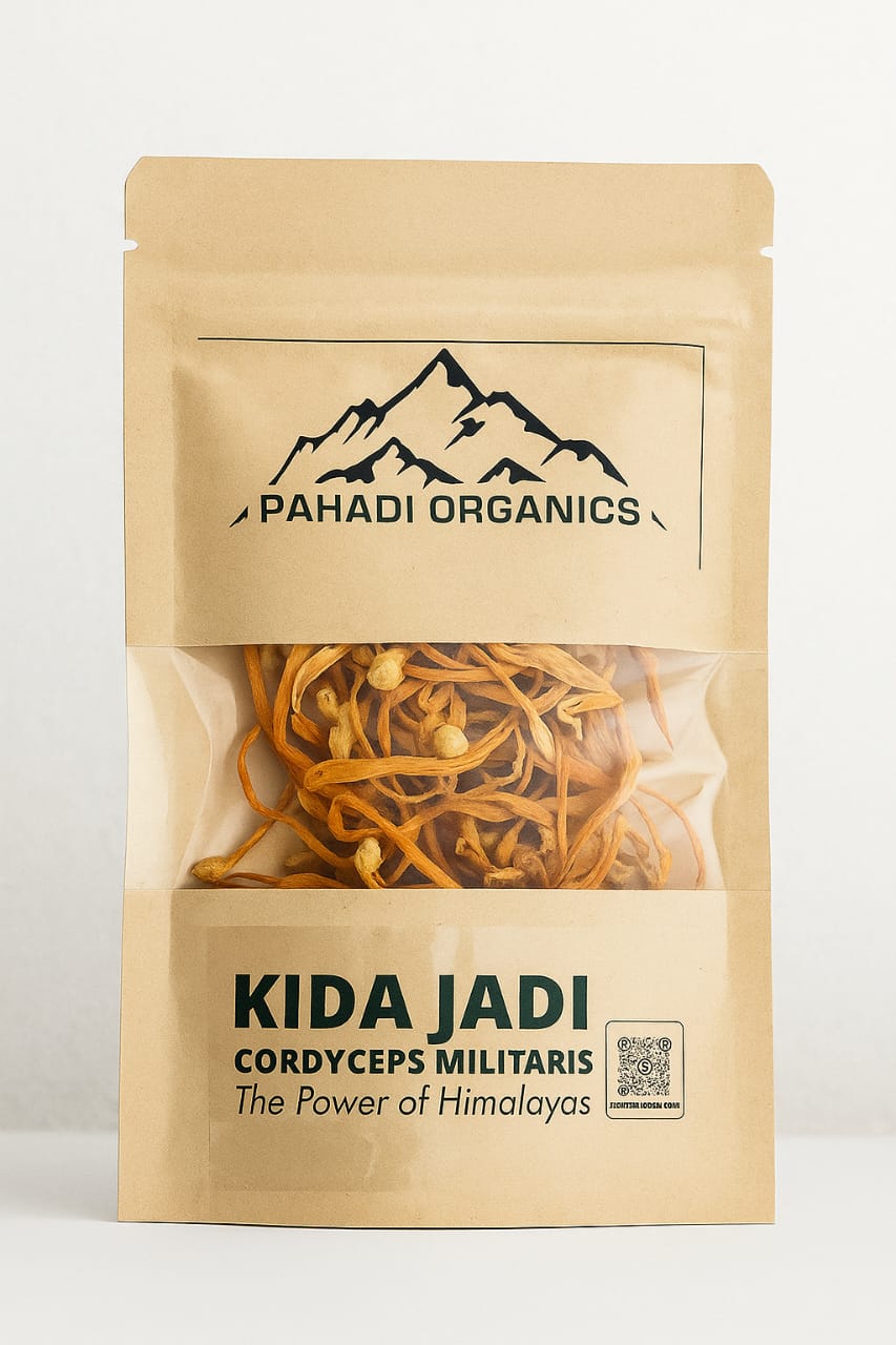 Kida Jadi (Cordyceps/Yarsagumba)
